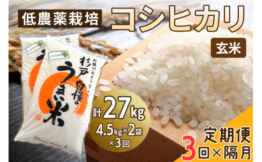 新米 [定期便／隔月3ヶ月] 低農薬栽培のコシヒカリ《玄米》計27kg (4.5kg×2袋×3ヶ月)｜おいしい お米 コメ こめ ご飯 ごはん 白米 玄米 お取り寄せ 直送 贈り物 贈答品 ふるさと納税 埼玉 杉戸 [0548] 1497239 - 埼玉県杉戸町