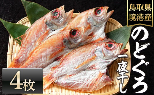 ＜数量限定＞のどぐろ一夜干し(4枚)【sm-DG002-B】【木村鮮魚店】 1501586 - 鳥取県境港市