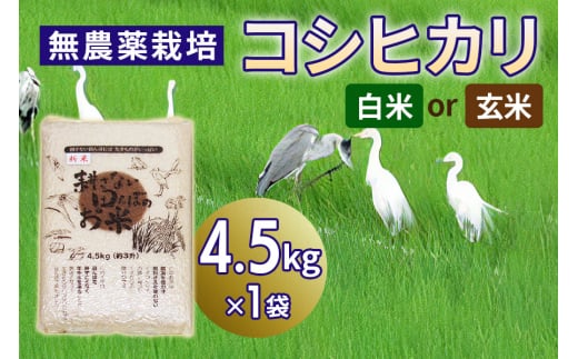 新米 無農薬栽培 コシヒカリ 4.5kg|おいしい お米 コメ こめ ご飯 ごはん 白米 玄米 お取り寄せ 直送 贈り物 贈答品 ふるさと納税 埼玉 杉戸 [0561-0563]