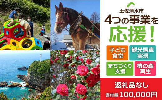 一括寄附で4つの事業を応援!返礼品なし 100,000円(子ども食堂・観光馬車実現・椿の森再生・まちづくり支援)10万円 子供 子育て 福祉 動物保護 自然保護 環境整備 教育 自然[R01226]