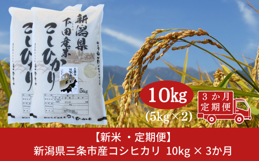 コシヒカリ定期便10kg(5kg×2袋)×3回 新潟県 三条市 下田産 こしひかり 10kg 精米 白米 【060S010】 1343194 - 新潟県三条市