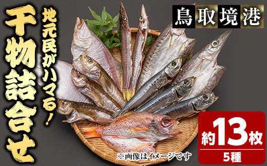 人気干物詰め合わせセット(約13枚)【sm-DG004-B】【木村鮮魚店】 1501594 - 鳥取県境港市