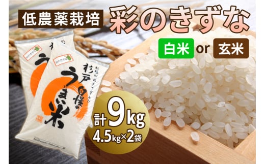 新米 低農薬栽培の彩のきずな 9kg (4.5kg×2袋)|おいしい お米 コメ こめ ご飯 ごはん 白米 玄米 お取り寄せ 直送 贈り物 贈答品 ふるさと納税 埼玉 杉戸 [0549-0551]