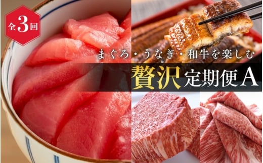 【全3回】まぐろ・うなぎ・和牛を楽しむ贅沢定期便A / 鮪 マグロ 刺身 鰻 ウナギ 蒲焼 熊野牛 肉 牛肉 和牛 黒毛和牛 ヒレ ロース シャトーブリアン ステーキ スライス【tkb386】 1496129 - 和歌山県紀美野町