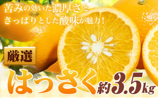 ＜1月より発送＞ 厳選 はっさく 3.5kg +105g 池田鹿蔵農園 日高町 《1月上旬-3月末頃出荷》和歌山県 日高町 送料無料 はっさくみかん 八朔 はっさく ギフト【配送不可地域あり】