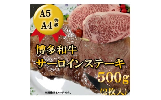 ＜A5A4等級使用＞博多和牛サーロインステーキ用500g(2枚入)(大牟田市)【1288269】 1504777 - 福岡県大牟田市