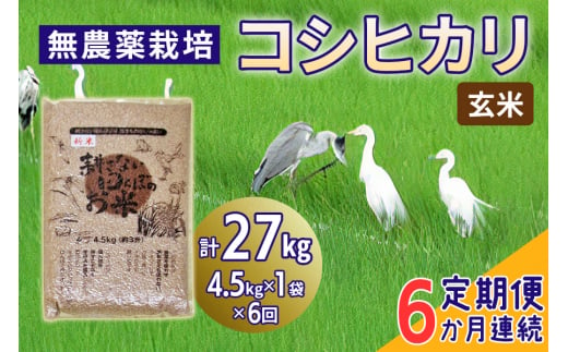 新米 [定期便／6ヶ月] 無農薬栽培 コシヒカリ《玄米》計27kg (4.5kg×6ヶ月連続)｜おいしい お米 コメ こめ ご飯 ごはん 白米 玄米 お取り寄せ 直送 贈り物 贈答品 ふるさと納税 埼玉 杉戸 [0569] 246506 - 埼玉県杉戸町