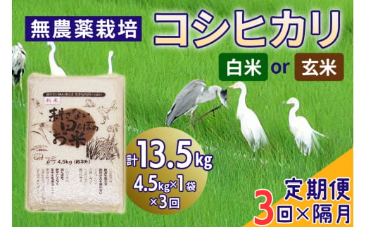 新米 [定期便/隔月3ヶ月] 無農薬栽培 コシヒカリ 計13.5kg (4.5kg×3ヶ月)|おいしい お米 コメ こめ ご飯 ごはん 白米 玄米 お取り寄せ 直送 贈り物 贈答品 ふるさと納税 埼玉 杉戸 [0570-0572]