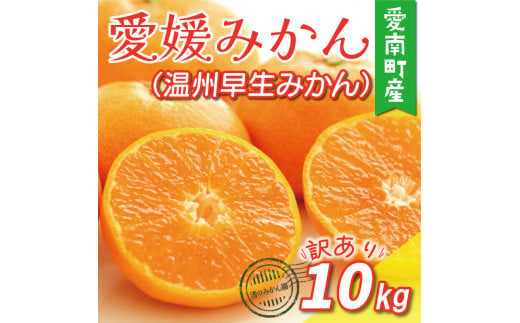 先行予約 訳あり 愛媛みかん ( 温州 早生 みかん ) 10kg 10000円 愛媛 みかん 温州みかん 早生 みかん こたつ みかん mikan 蜜柑 ミカン 家庭用 産地直送 国産 農家直送 糖度 期間限定 数量限定 特産品 ゼリー ジュース アイス 人気 限定 甘い フルーツ 果物 柑橘 先行 事前 予約 受付 ビタミン 美味しい 規格外 サイズ ミックス 愛南町 愛媛県 渚のみかん園