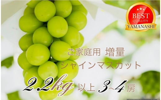 [25年発送先行予約]ご家庭用シャインマスカット2.2kg以上(3〜4房) 111-021|葡萄 ぶどう 葡萄 シャインマスカット 種無し 旬果 2.2キロ 産地 笛吹市産 山梨県産 フルーツ 果物 旬 シャイン マスカット 発送 期間限定 国産 2025年