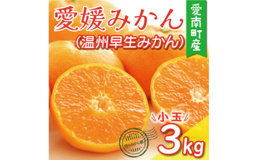 先行予約 訳あり 小玉 愛媛みかん ( 温州 早生 みかん ) 3kg 5000円 愛媛 みかん 温州みかん 早生 みかん こたつ みかん mikan 蜜柑 ミカン 家庭用 産地直送 国産 農家直送 糖度 期間限定 数量限定 特産品 ゼリー ジュース アイス 人気 限定 甘い フルーツ 果物 柑橘 先行 事前 予約 受付 ビタミン おいしい 規格外 サイズ ミックス 愛南町 愛媛県 渚のみかん園