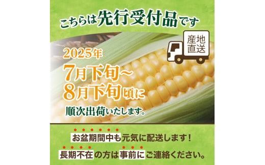 北海道芽室町のふるさと納税 【2025年分先行予約】北海道十勝芽室町 スイートコーンゴールドラッシュ20本 me001-020c-25