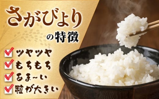 佐賀県吉野ヶ里町のふるさと納税 【2025年4月発送】【令和6年産】特A獲得！さがびより 無洗米 3kg 吉野ヶ里町/大塚米穀店 [FCW025]