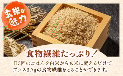 特A獲得！さがびより 玄米 3kg
