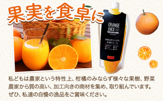 和歌山県日高町のふるさと納税 みかんジュース 324ml×5個 Farm＆lab 《30日以内に出荷予定(土日祝除く)》和歌山県 日高町 みかん 柑橘 果物 無添加 ジュース オレンジジュース