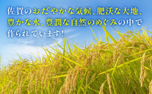 佐賀県吉野ヶ里町のふるさと納税 【2025年4月発送】【令和6年産】特A獲得！さがびより 無洗米 3kg 吉野ヶ里町/大塚米穀店 [FCW025]