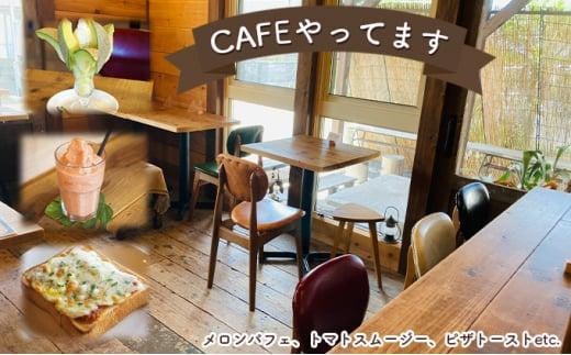 アイテムID:407989の画像5枚目