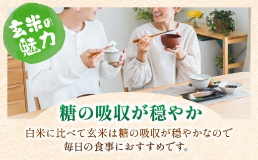 特A獲得！さがびより 玄米 3kg
