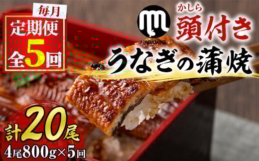 【150904b】＜定期便・全5回＞大隅産うなぎの蒲焼 (計約4000g(約200g×4尾)×5回・有頭) うなぎ 高級 ウナギ 鰻 国産 蒲焼 蒲焼き たれ 鹿児島【永峯うなぎ店】