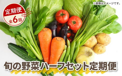 【 全6回定期便 】 野菜 詰め合わせ 産地 直送 6 ~ 8種 減農薬 栽培 旬 採れたて やさい お試し 一人暮らし ふたり暮らし 健康 食材 ハーフセット 静岡県 藤枝市 