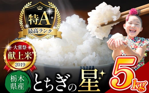 栃木県産 とちぎの星 白米 5kg |  お米 米 こめ おにぎり ごはん ご飯 令和6年産 栃木県 真岡市 ブランド米 栃木県共通返礼品 1498238 - 栃木県真岡市