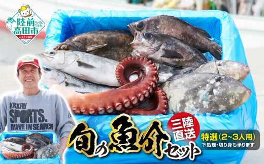 [特選]三陸海の恵み 詰め合わせ [下処理可](目安:2〜3人用)[ 鮮魚セット 鮮魚 三陸産 海鮮 お刺身 産地直送 魚 旬 ]