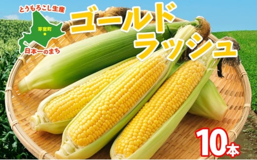 【2025年分先行予約】とうもろこし ゴールドラッシュ 10本 芽室町産 トウモロコシ コーン とうきび イエローコーン スイートコーン 野菜 新鮮 もぎたて 冷蔵 ギフト プレゼント お取り寄せ 送料無料 十勝 北海道 芽室町 【2025年8月発送】me035-026c-25 1497284 - 北海道芽室町