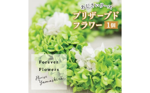 プリザーブドフラワー 紫陽花 グリーン リース【1271162】 351827 - 山梨県山梨市