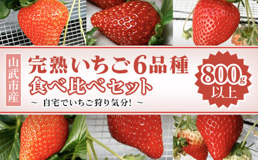 【先行予約2024年12月中旬発送】山武市産 甘熟いちご 800g以上 おすすめの品種をお届け ／いちご イチゴ 苺 果物 くだもの フルーツ 旬のくだもの 季節のフルーツ 食べ比べ 詰め合わせ セット 希少品種  千葉県 山武市 SMB002