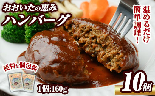 おおいたの恵みハンバーグ(計1.6kg・160g×10個)牛肉 豚肉 肉 デミグラスソース おかず 小分け 個包装 温めるだけ 【ng002】【全国農業協同組合連合会 大分県本部】 1149829 - 大分県大分県庁