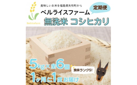 ＜毎月定期便＞農家直送 ベルライスファームのコシヒカリ無洗米5kg 1.9ミリ 食味ランクS全6回【4056999】 1500922 - 福島県矢吹町