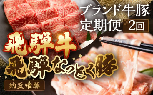 【定期便２回】 飛騨牛＆納豆喰豚 お楽しみ定期便（しゃぶしゃぶ用、焼肉用）天狗 なっとく豚 飛騨牛 牛 牛肉 焼き肉 しゃぶしゃぶ 食べ比べ 定期便 2カ月 定期下呂温泉 おすすめ 豚肉 なっとくとん ブランド豚 国産  ギフト  20000円 2万円 岐阜県 下呂市 1497971 - 岐阜県下呂市