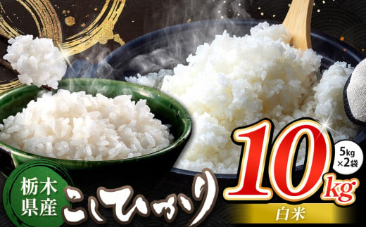 栃木県産 コシヒカリ 白米 10kg | お米 こめ ご飯 ごはん おにぎり おむすび 米 送料無料 定期便 単品 こしひかり 栃木県 銘柄米 ブランド米 栃木県共通返礼品 1498231 - 栃木県真岡市