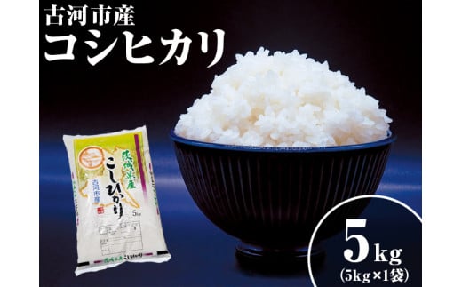 令和6年産 新米 5kg 関東平野で育った古河市産コシヒカリ 5kg (5kg×1袋) ※北海道・沖縄・離島への配送不可 | こめ 米 コメ こしひかり 5キロ 古河市産 茨城県産 単一米 国産 ご飯 白米 精米 ギフト 贈答 贈り物 プレゼント お祝 ご褒美 記念日 景品 _DG03