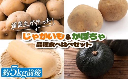 留寿都高校 じゃがいも＆かぼちゃ 食べ比べ セット じゃがいも 約2kg かぼちゃ 約3kg オンライン 申請 ふるさと納税 北海道 留寿都 野菜 季節野菜 新鮮 採れたて いも 芋 イモ ジャガイモ カボチャ 南瓜 高校生 留寿都村【23001】 1488919 - 北海道留寿都村