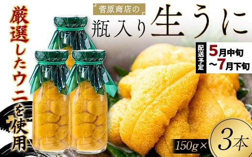 ≪2025年先行予約≫ 菅原商店の生うに150g 3本 【令和7年5月中旬～7月下旬配送予定】【配送日指定不可】【沖縄・離島配送不可】 三陸山田 山田町 牛乳瓶 海産品 無添加 ミョウバン不使用 雲丹 海栗 YD-714 357158 - 岩手県山田町