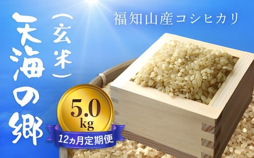 【令和6年産新米】【12ヵ月定期便】京都福知山産コシヒカリ『天海の郷』5kg（玄米）天空に広がる天海の郷 / ふるさと納税 こめ コメ 米 コシヒカリ こしひかり 玄米 定期 12カ月 おいしい 美味しい 美容 健康 天空 雲海 天海の郷 京都府 福知山市 FCCM038