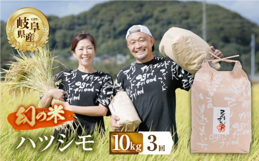 【 3回 定期便 】 令和6年産 ハツシモ 10kg × 3回 3か月 米 こめ ごはん 白米 岐阜県産 本巣市 お米 精米 甘い 和食 寿司 アグリフレンドホリグチ