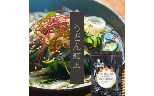 KU492 グルテンフリーのうどん麺玉 「MIYAZAKI RICE NOODLES 平打ちうどん 122g×18食分」 100%お米の生麺 小麦粉不使用 九州産米粉使用 常温保存【川北製麺】 886629 - 宮崎県串間市