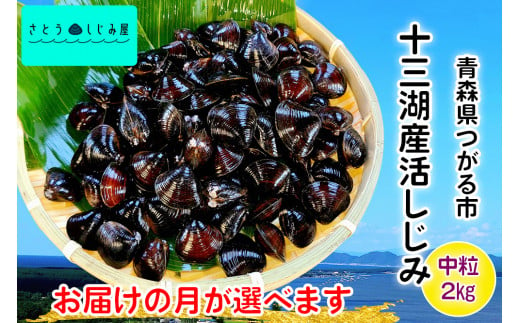 [配達時期が選べる] さとうしじみ屋の十三湖産活しじみ(中粒2kg)[冷蔵]|十三湖産 青森 津軽 つがる しじみ みそ汁 味噌汁 しじみ汁 活しじみ 冷蔵 [0576-0588]