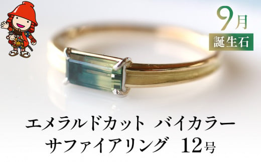 誕生石 9月 バイカラーサファイア 指輪 リング 12号 エメラルドカット K18 PT900 プラチナ アクセサリー 婚約指輪 プロポーズ 結婚指輪 誕生日 婚約 結婚 母の日 プレゼント 祝 記念日 女性 贈り物 大分県産 九州産 中津市 1501790 - 大分県中津市