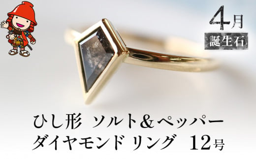 誕生石 4月 ひし形 ソルト＆ペッパーダイヤモンド 指輪 リング 12号  K18 イエローゴールド アクセサリー 婚約指輪 プロポーズ 結婚指輪 誕生日 婚約 結婚 母の日 プレゼント 祝 記念日 女性 贈り物 大分県産 九州産 中津市 1501791 - 大分県中津市