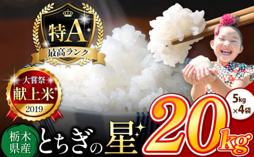 栃木県産 とちぎの星 白米 20kg |  お米 米 こめ おにぎり ごはん ご飯 令和6年産 栃木県 真岡市 ブランド米 栃木県共通返礼品 1498240 - 栃木県真岡市