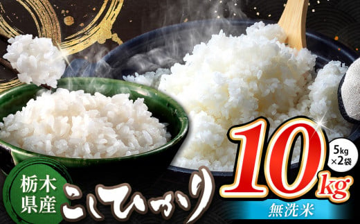 栃木県産 コシヒカリ 無洗米 10kg | お米 こめ ご飯 ごはん おにぎり おむすび 米 送料無料 定期便 単品 こしひかり 栃木県 銘柄米 ブランド米 栃木県共通返礼品 1498235 - 栃木県真岡市