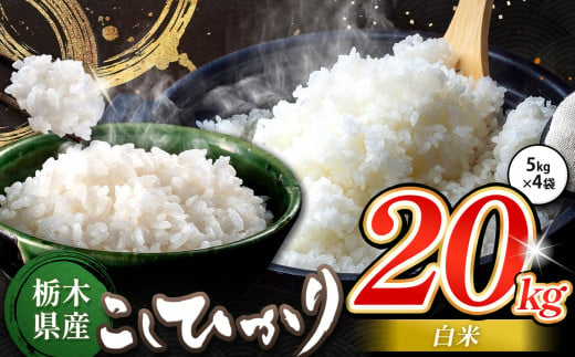 栃木県産 コシヒカリ 白米 20kg | お米 こめ ご飯 ごはん おにぎり おむすび 米 送料無料 定期便 単品 こしひかり 栃木県 銘柄米 ブランド米 栃木県共通返礼品 1498233 - 栃木県真岡市