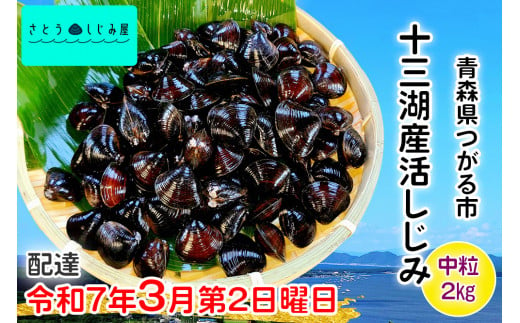 [令和7年3月第2日曜日配達] さとうしじみ屋の十三湖産活しじみ(中粒2kg)[冷蔵]｜十三湖産 青森 津軽 つがる しじみ みそ汁 味噌汁 しじみ汁 活しじみ 冷蔵 [0588] 1500689 - 青森県つがる市