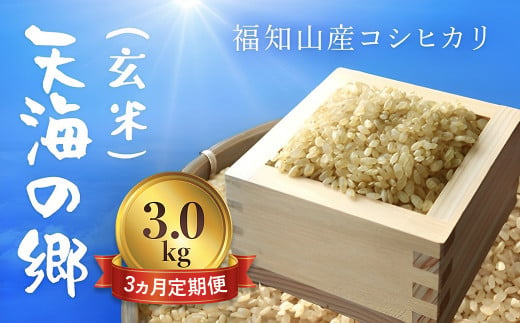 【令和6年産新米】【3ヵ月定期便】京都福知山産コシヒカリ『天海の郷』3kg（玄米）天空に広がる天海の郷 / ふるさと納税 こめ コメ 米 コシヒカリ こしひかり 玄米 定期 3カ月 おいしい 美味しい 美容 健康 天空 雲海 天海の郷 京都府 福知山市 FCCM033