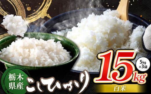 栃木県産 コシヒカリ 白米 15kg | お米 こめ ご飯 ごはん おにぎり おむすび 米 送料無料 定期便 単品 こしひかり 栃木県 銘柄米 ブランド米 栃木県共通返礼品 1498232 - 栃木県真岡市