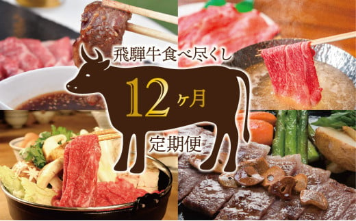 【12か月定期便】飛騨牛食べ尽くし