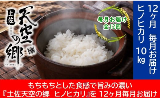 農林水産省の「つなぐ棚田遺産」に選ばれた棚田で育てられた 土佐天空の郷 ヒノヒカリ10kg 定期便 　毎月お届け　全12回